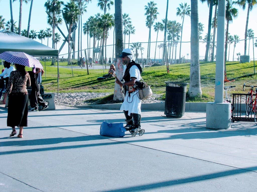 The Skatepark Itself
