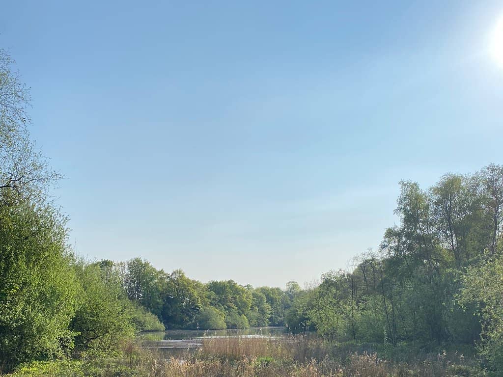 Bridgewater Canal Connection