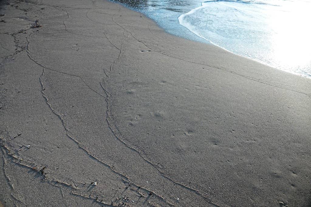 White Sand Beach