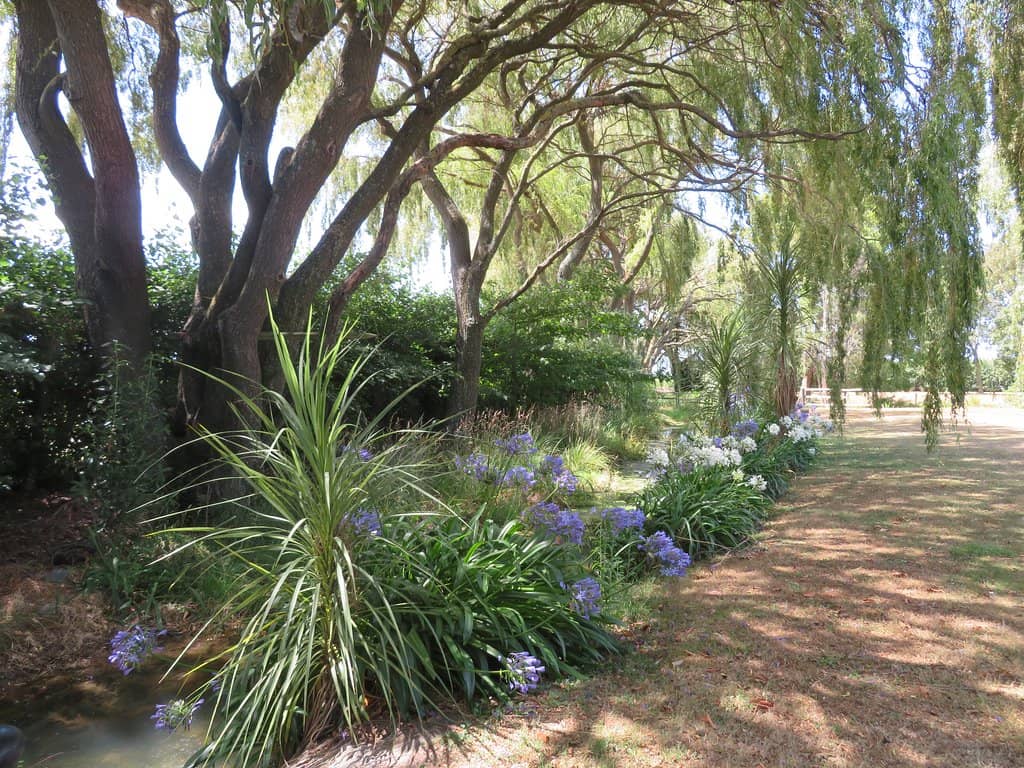 Beachfront Luxury Living