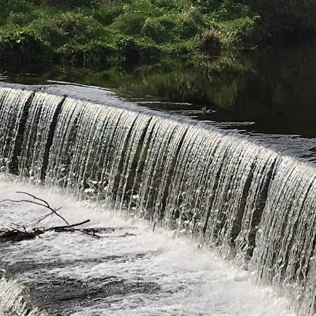 Tranquil River Walk