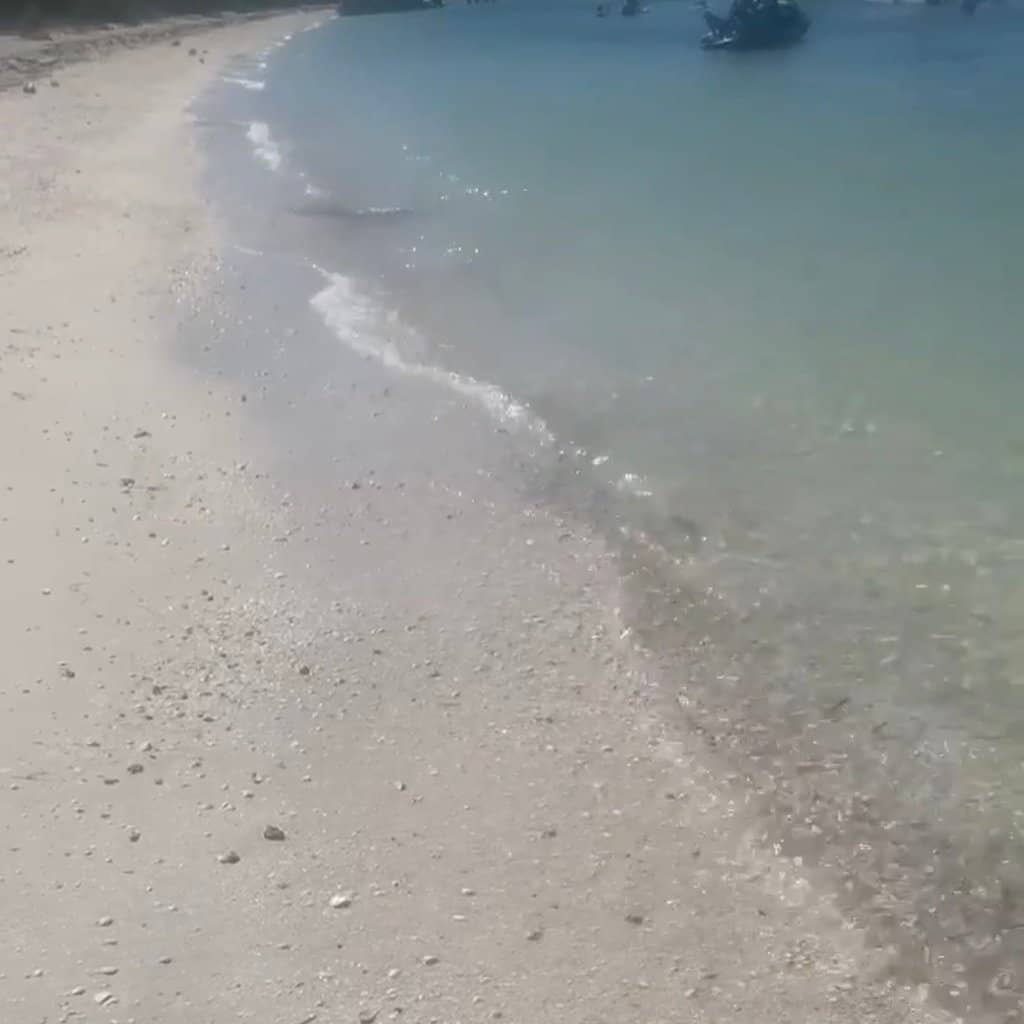 Shelling Paradise