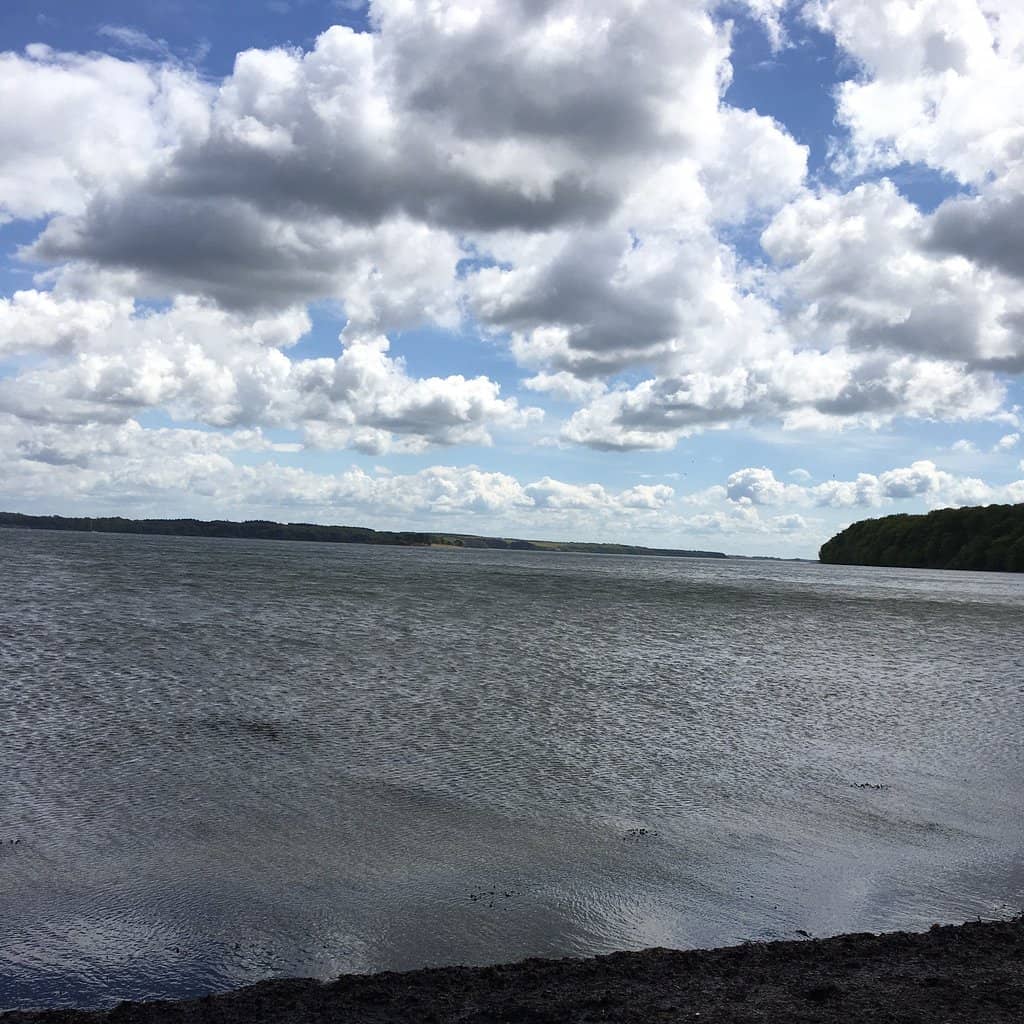 Varied Forest Trails