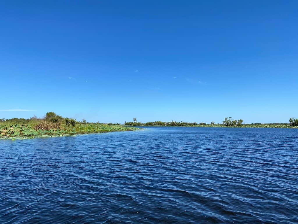 Stunning Wetland Sunsets