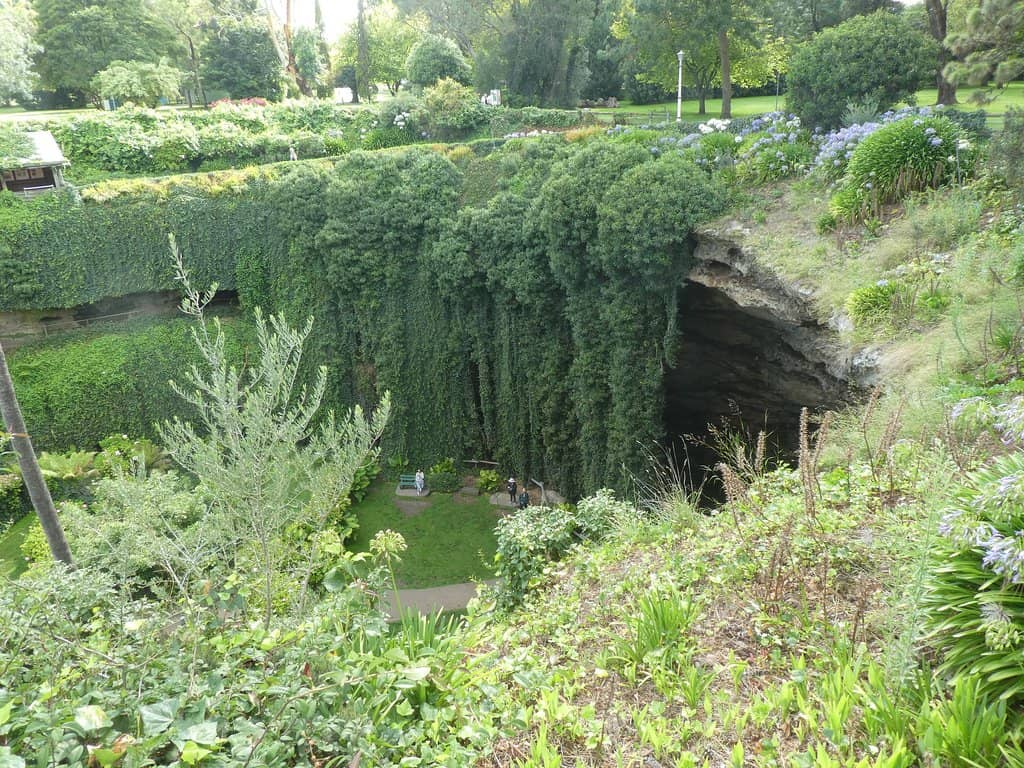 Vertical photo