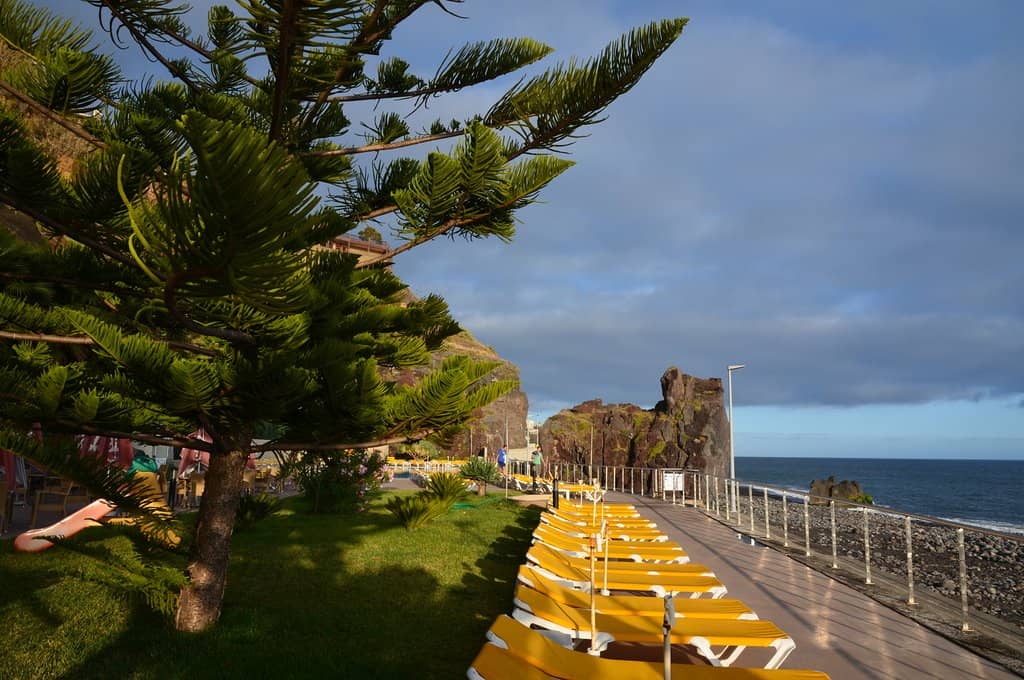 Scenic Coastal Walk