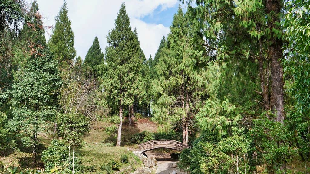 Japanese Garden