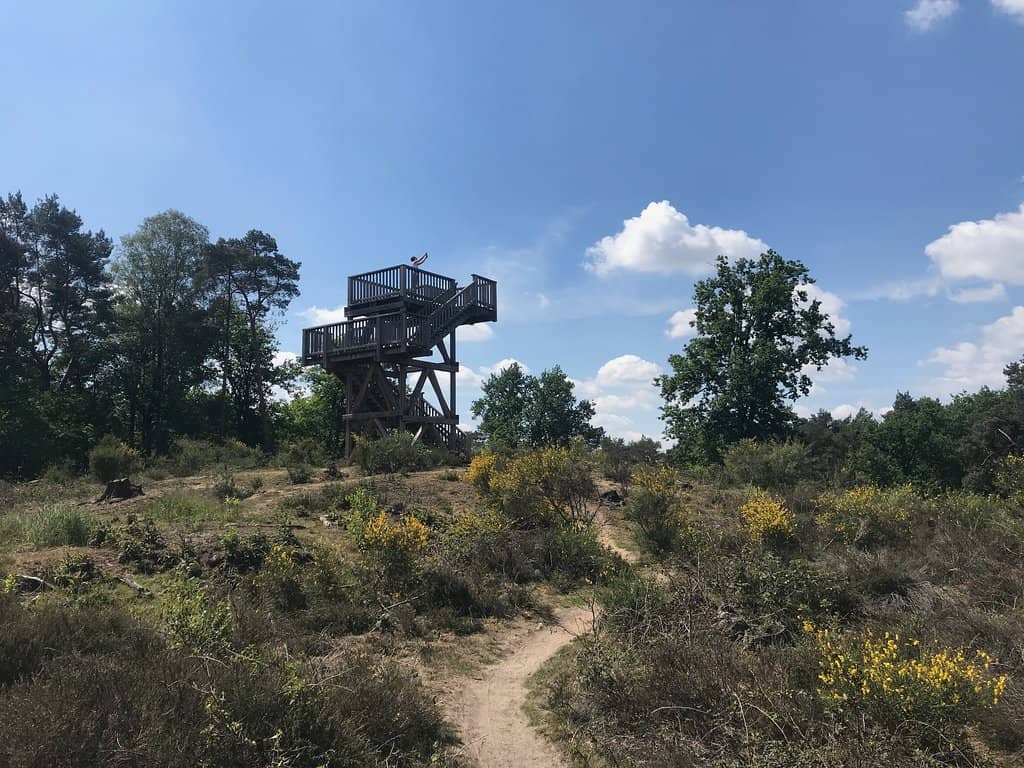 The Iron Rhine Remnants