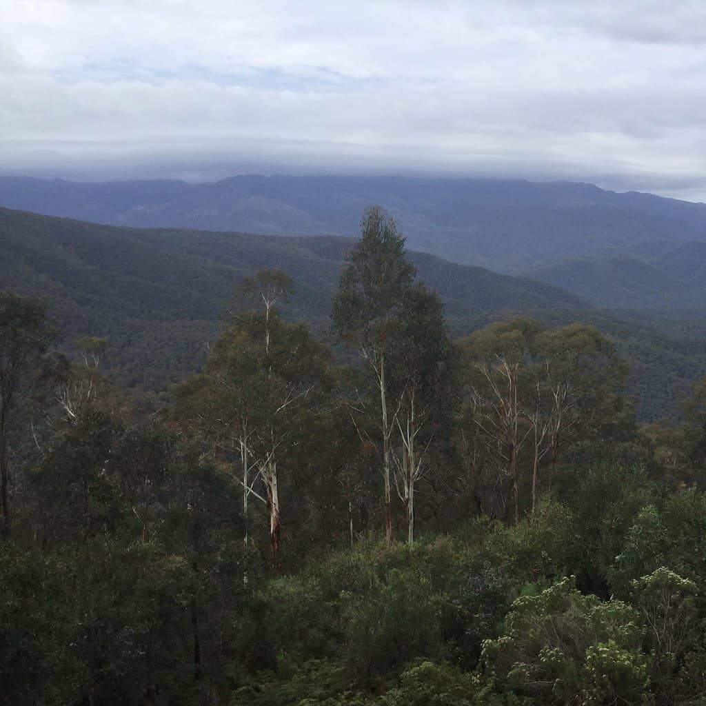 Alpine Way Scenic Stop