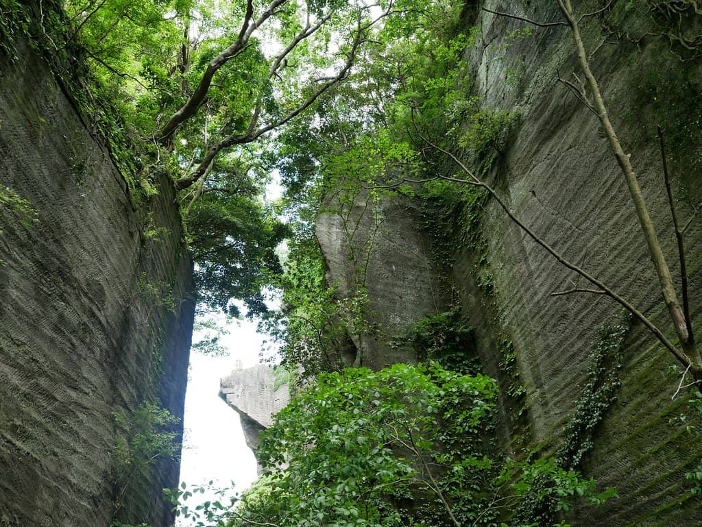 Thousand Buddha Statues