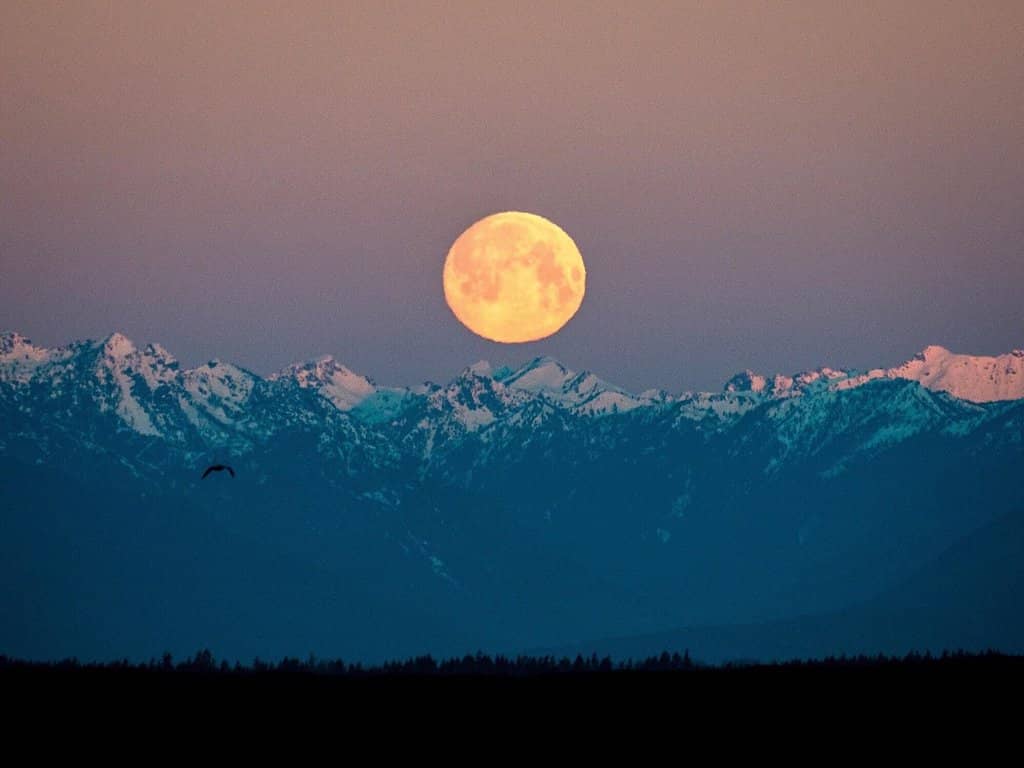 Hurricane Hill Trail