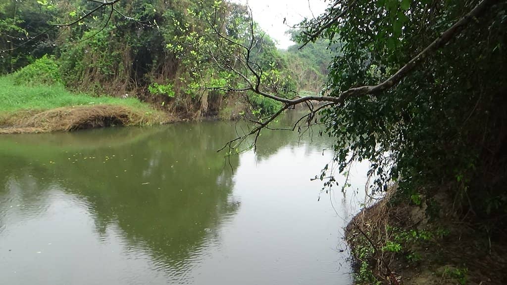 Calm & Serene Environment