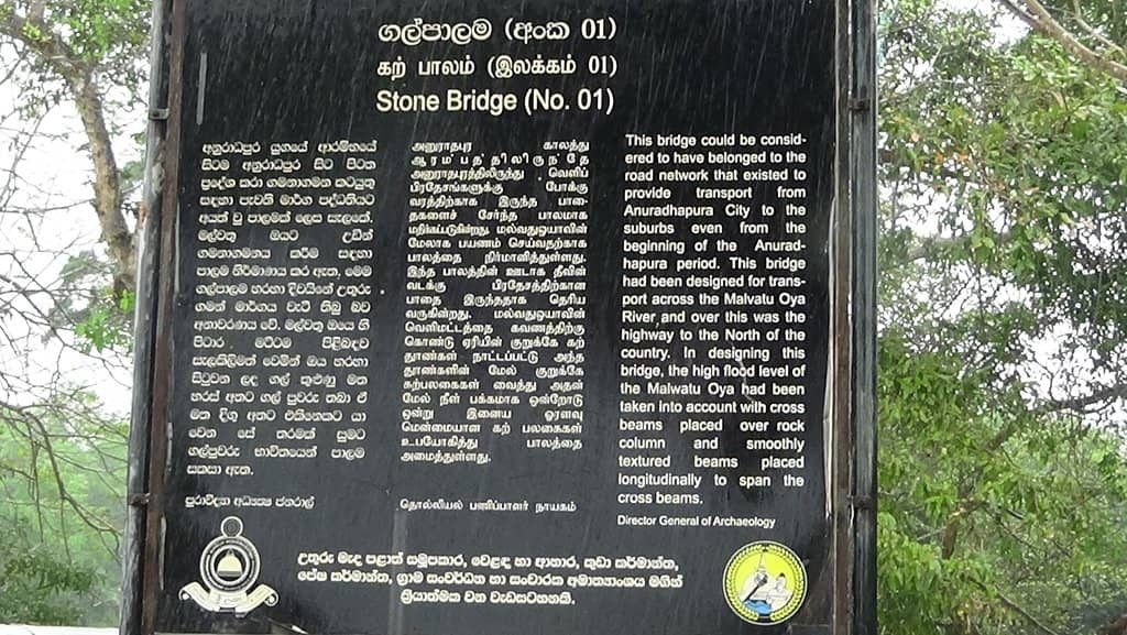 Picturesque Paddy Fields