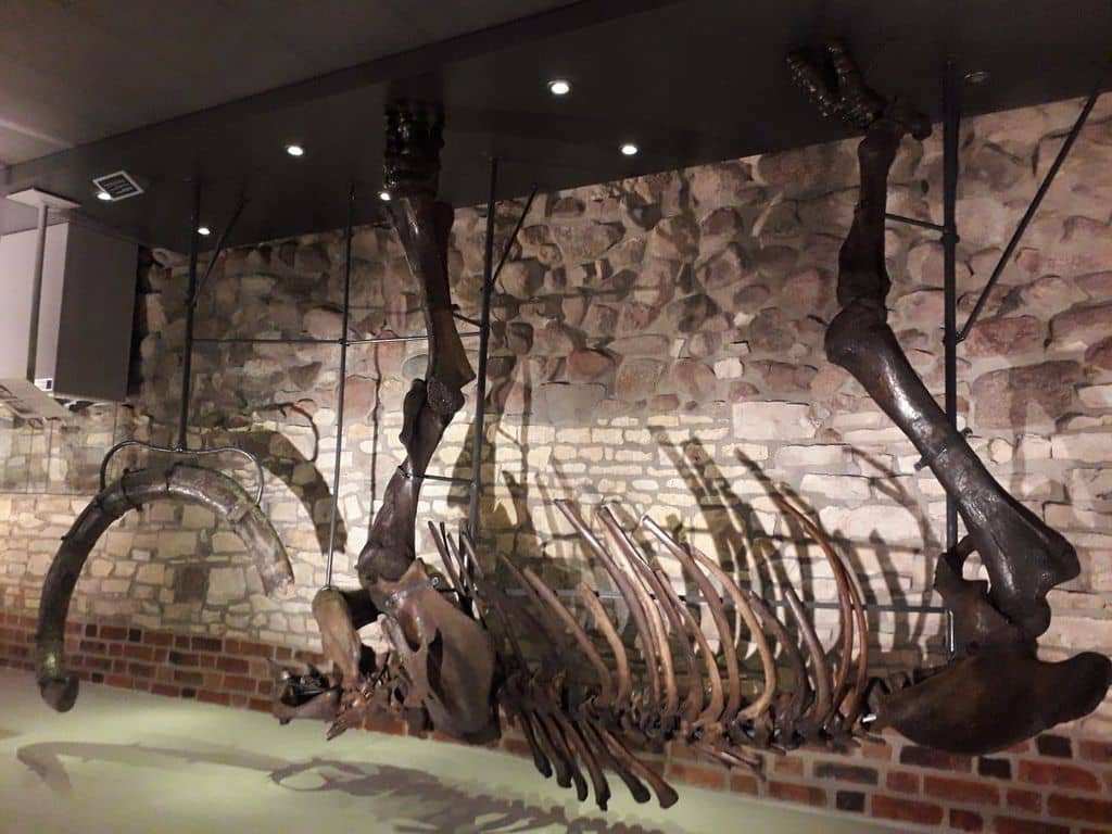 Archaeological & Historical Exhibits