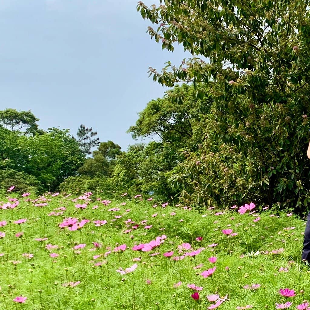 Crystal Cabin Adventure