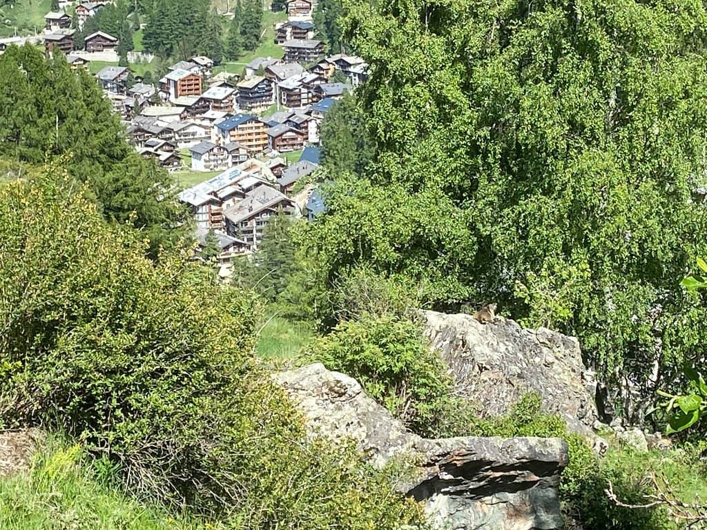 The Grand Matterhorn Vista