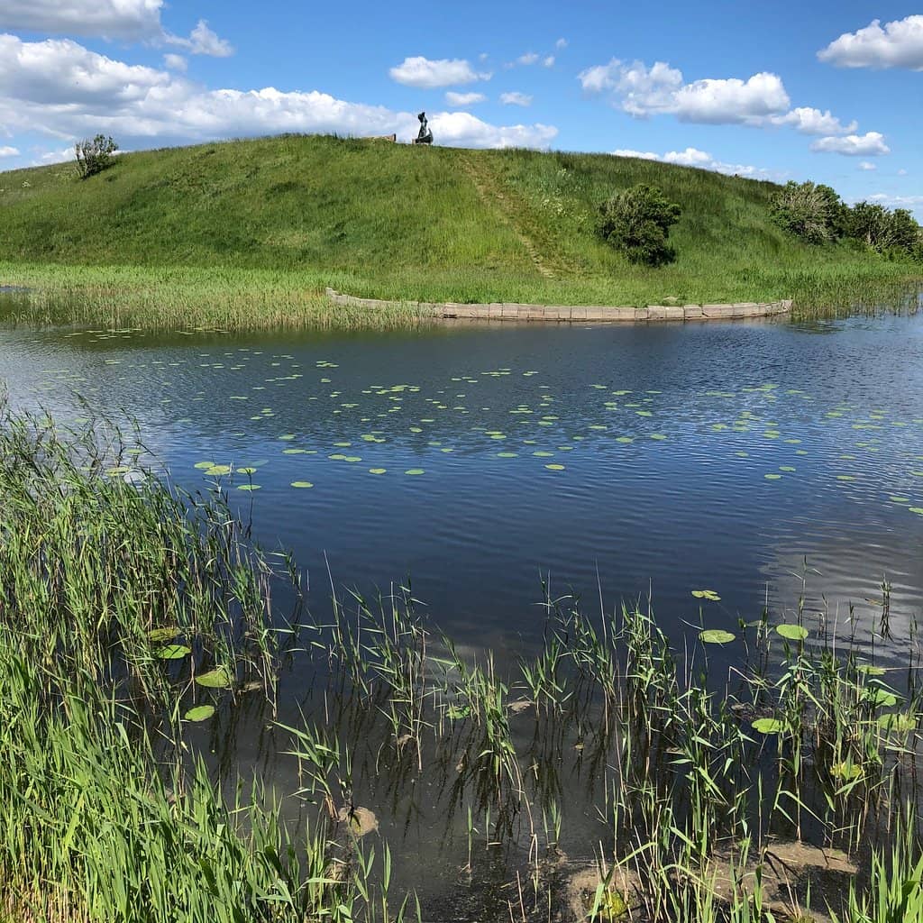Panoramic Ribe Views