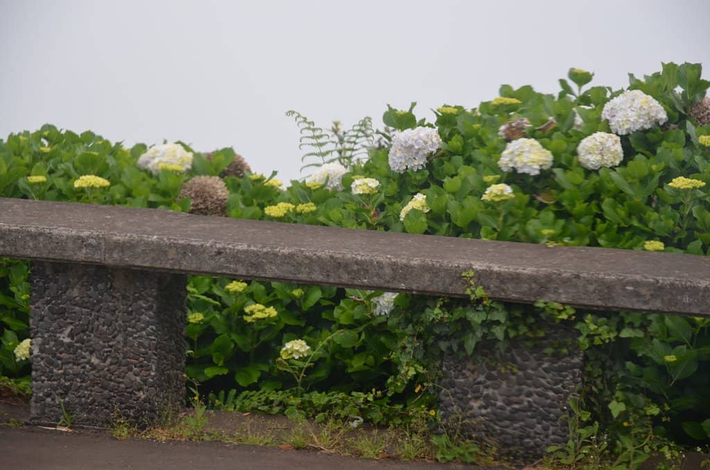 Porto da Cruz Valley