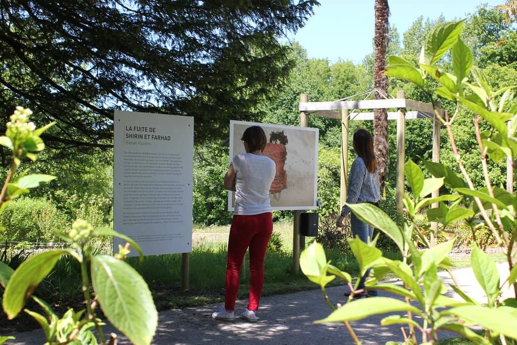 Medicinal Gardens