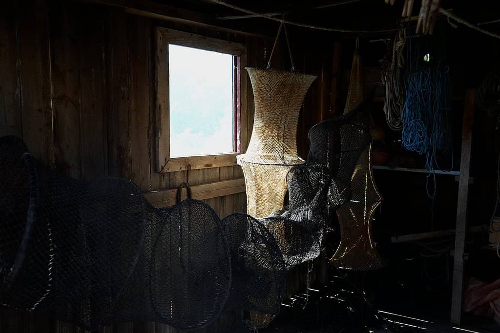 Interactive Kids' Area