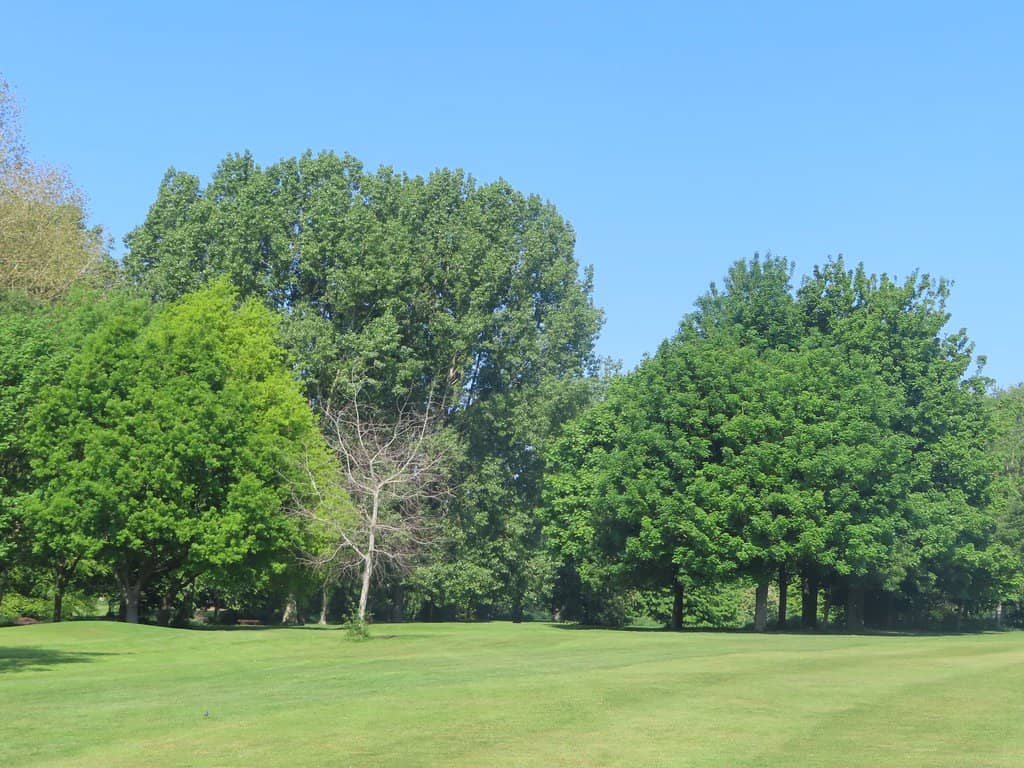 Sunrise/Sunset Views