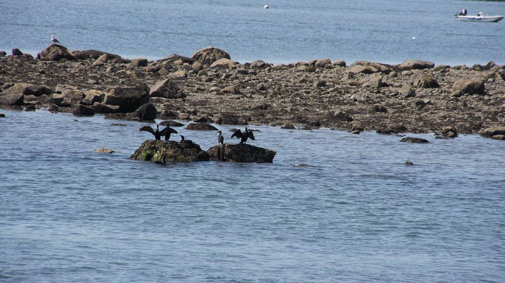 Salem Maritime National Historic Site