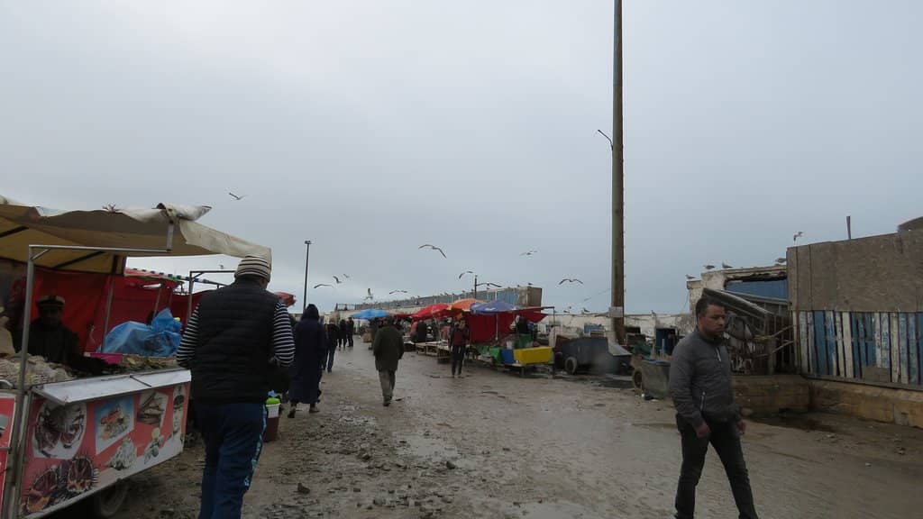 Fresh Seafood Grilling