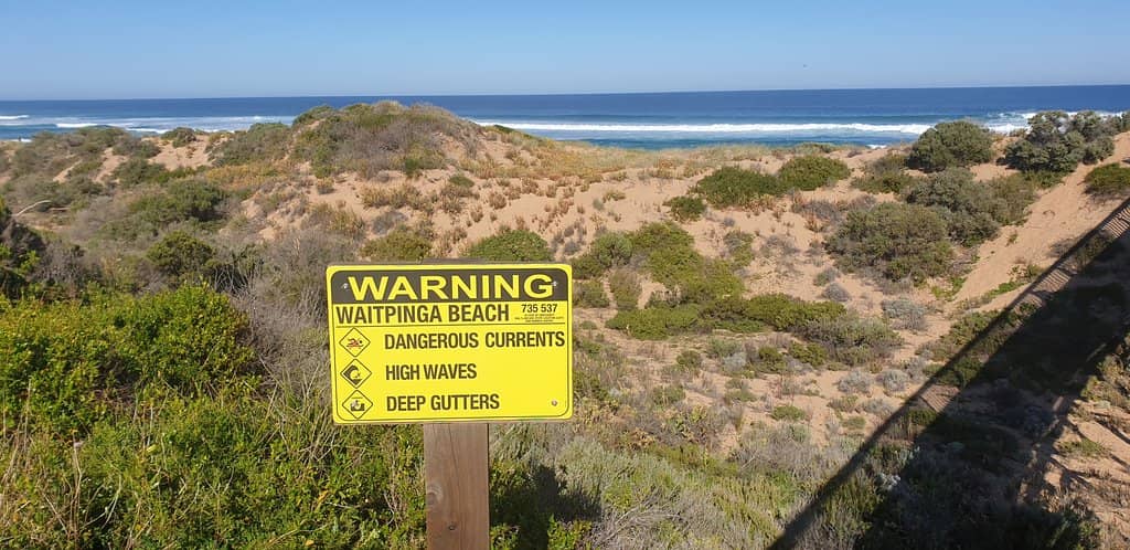 Surf Fishing Haven