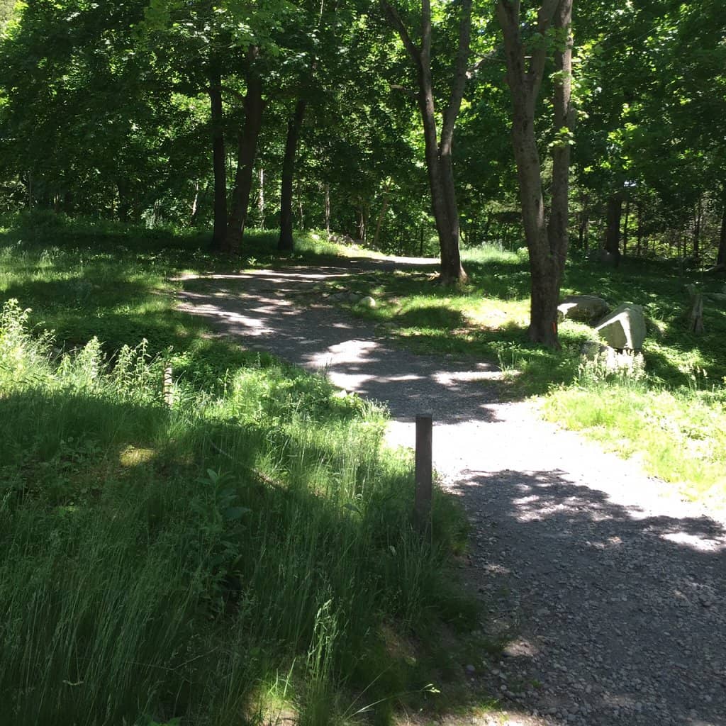 Picnic Spot by the Pond