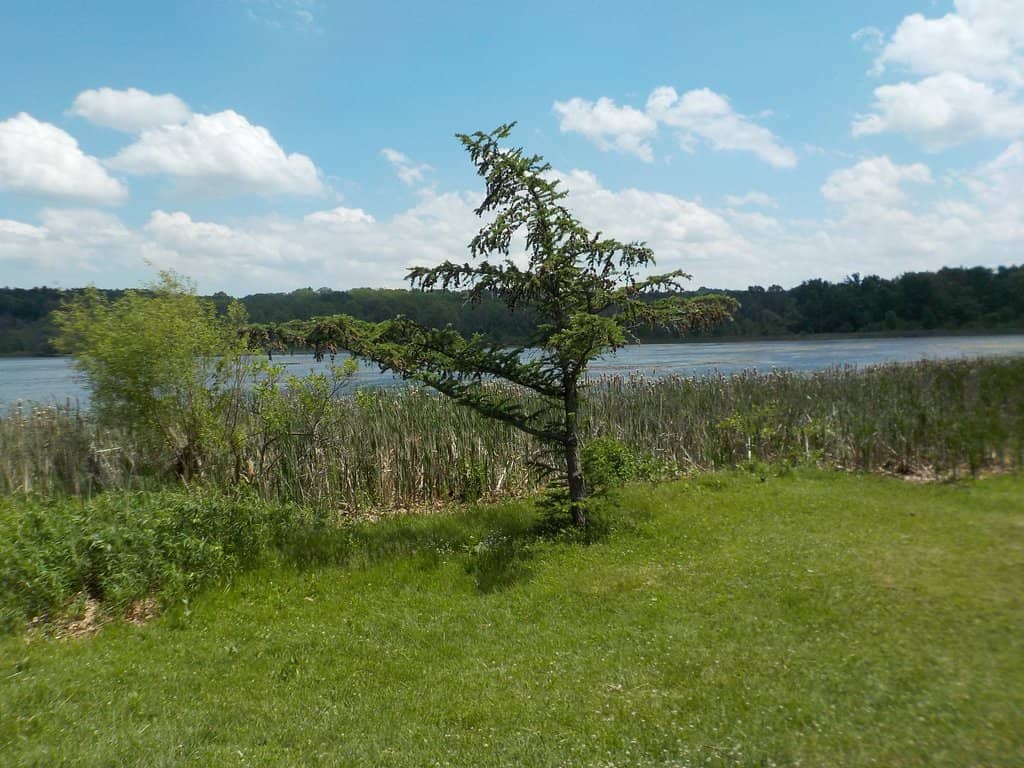 Devil's Bathtub Trail
