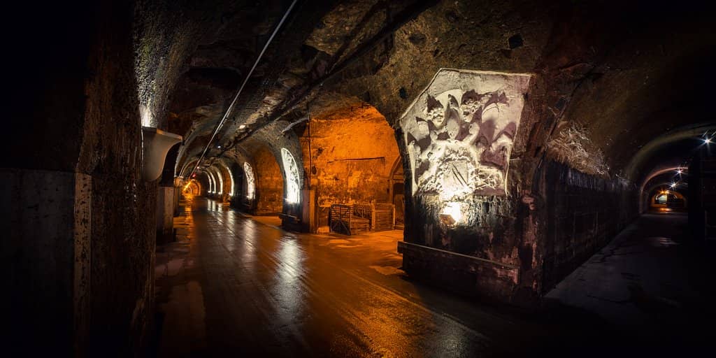 Impressive Cellar Architecture