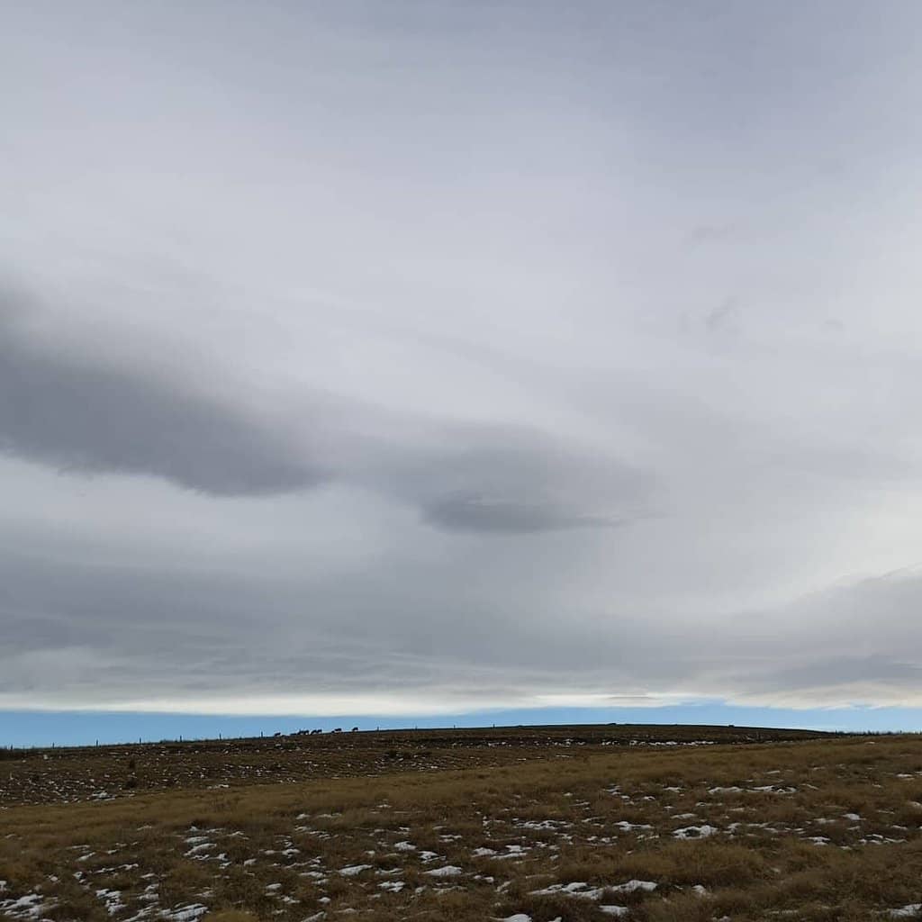 Sheep Encounters