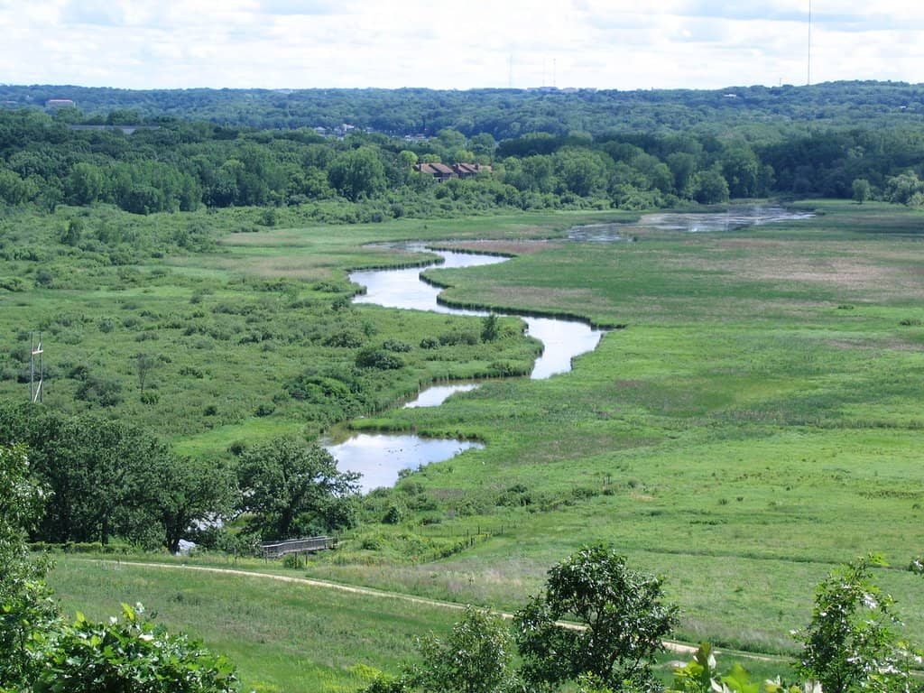 Pheasant Branch Creek