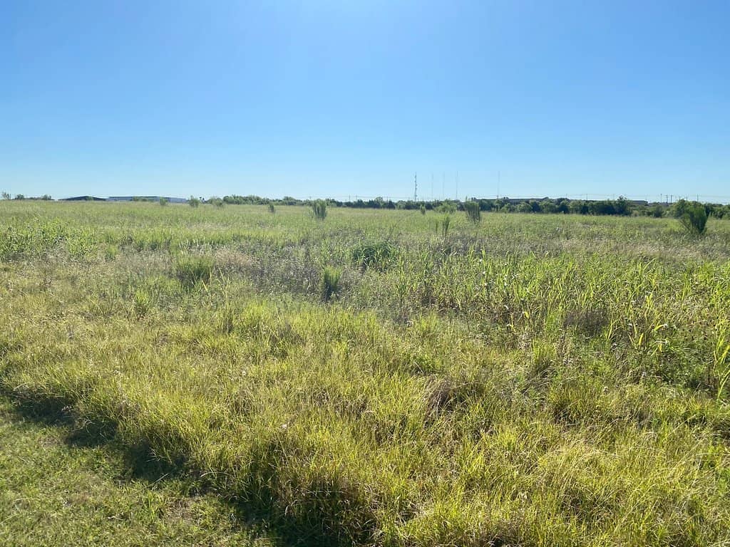 Austin to Manor Extension