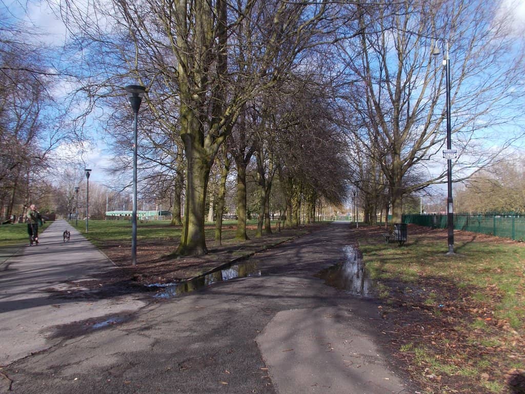 Dog-Friendly Zones
