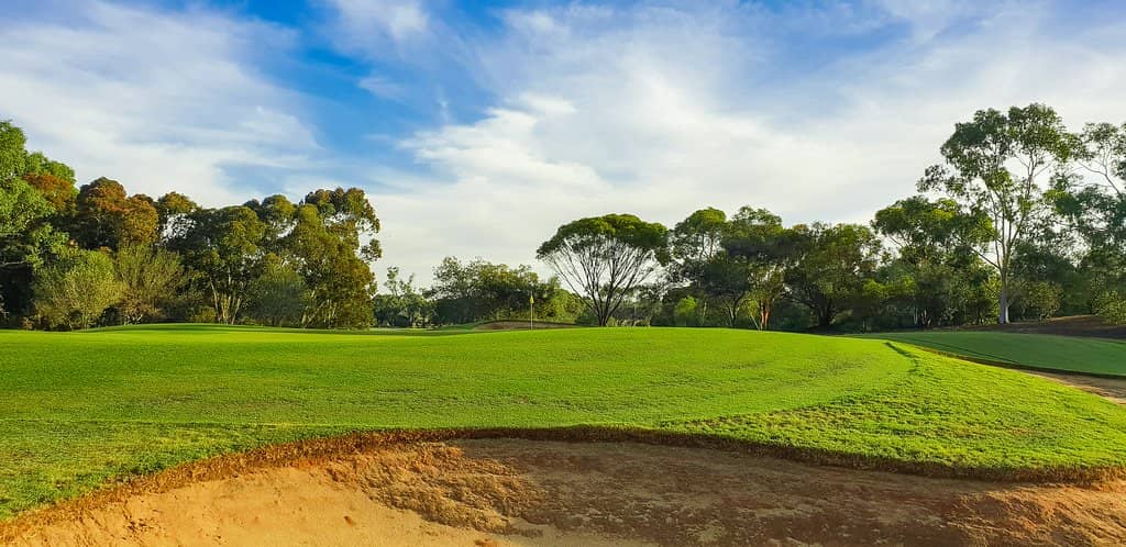Manicured Greens and Fairways