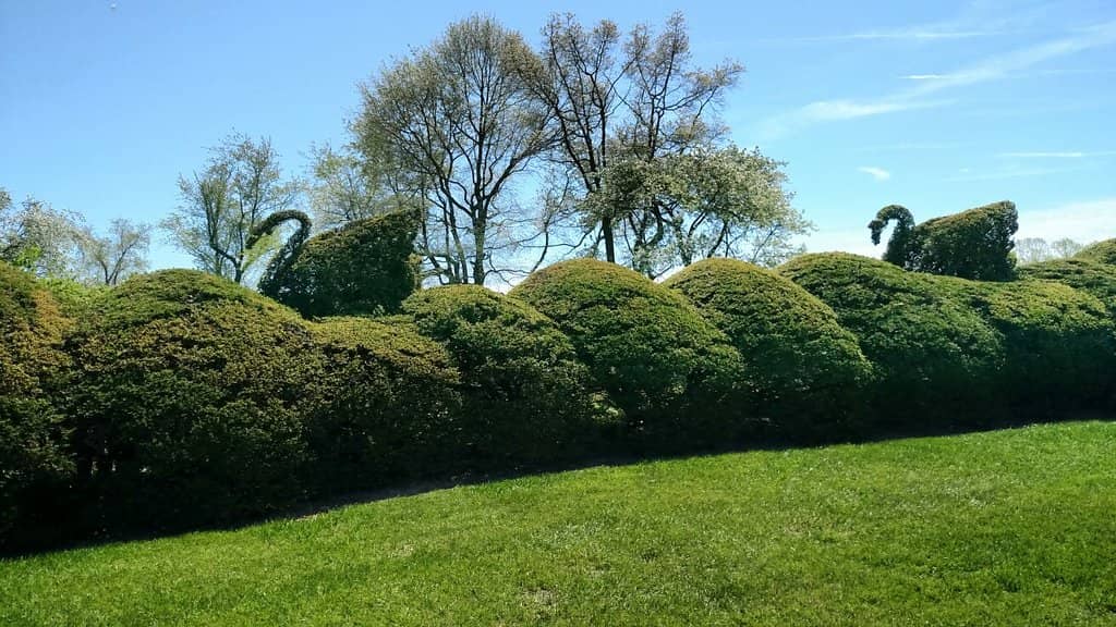 Garden Glow Festival