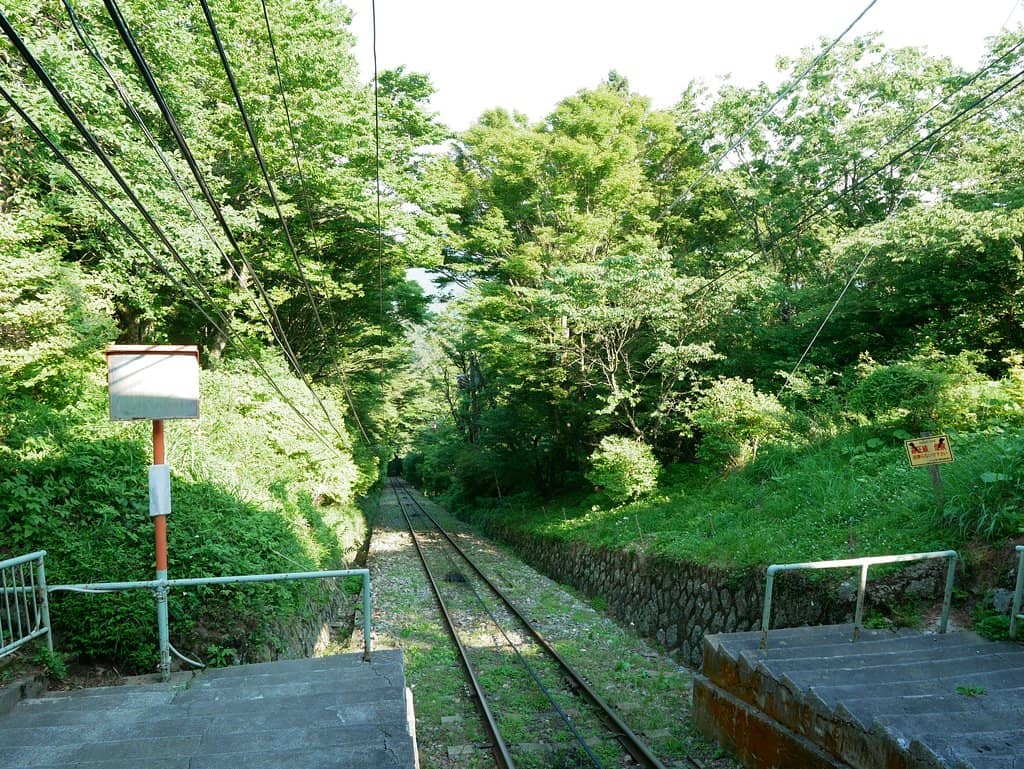 Vertical photo
