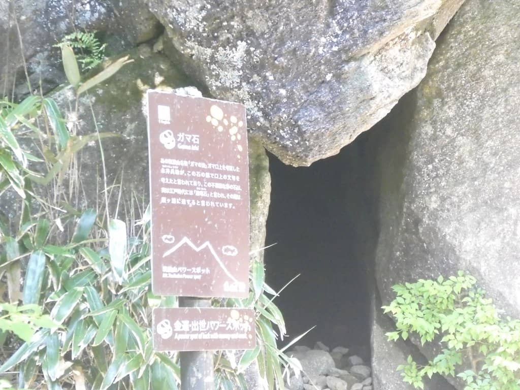 Vertical photo