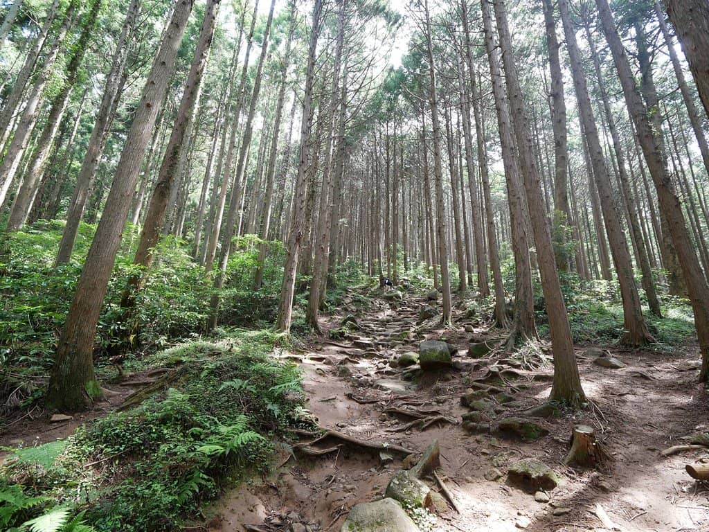 Mount Tsukuba Ropeway