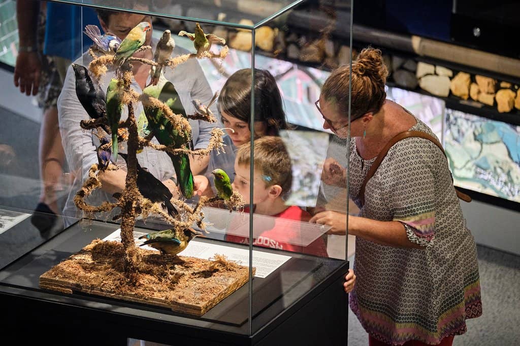 Tweed's Geological & First Nations History