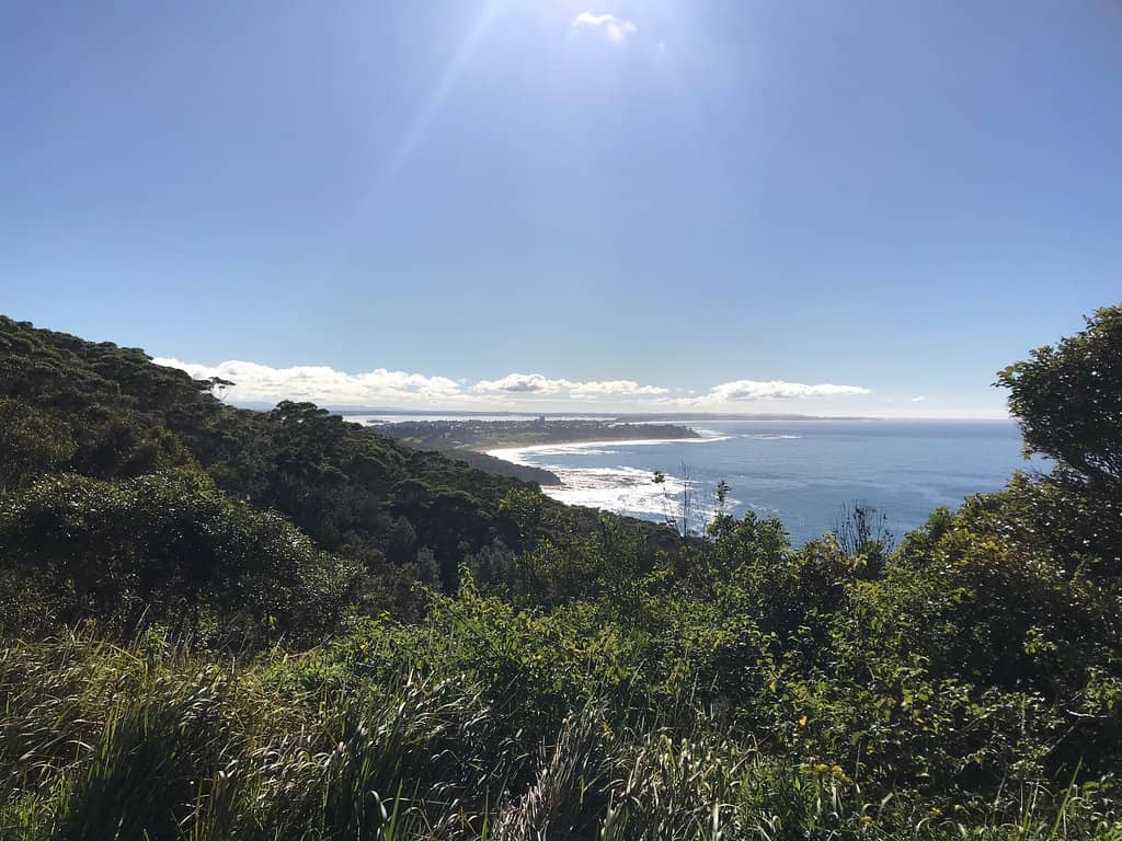 Whale Watching Hotspot