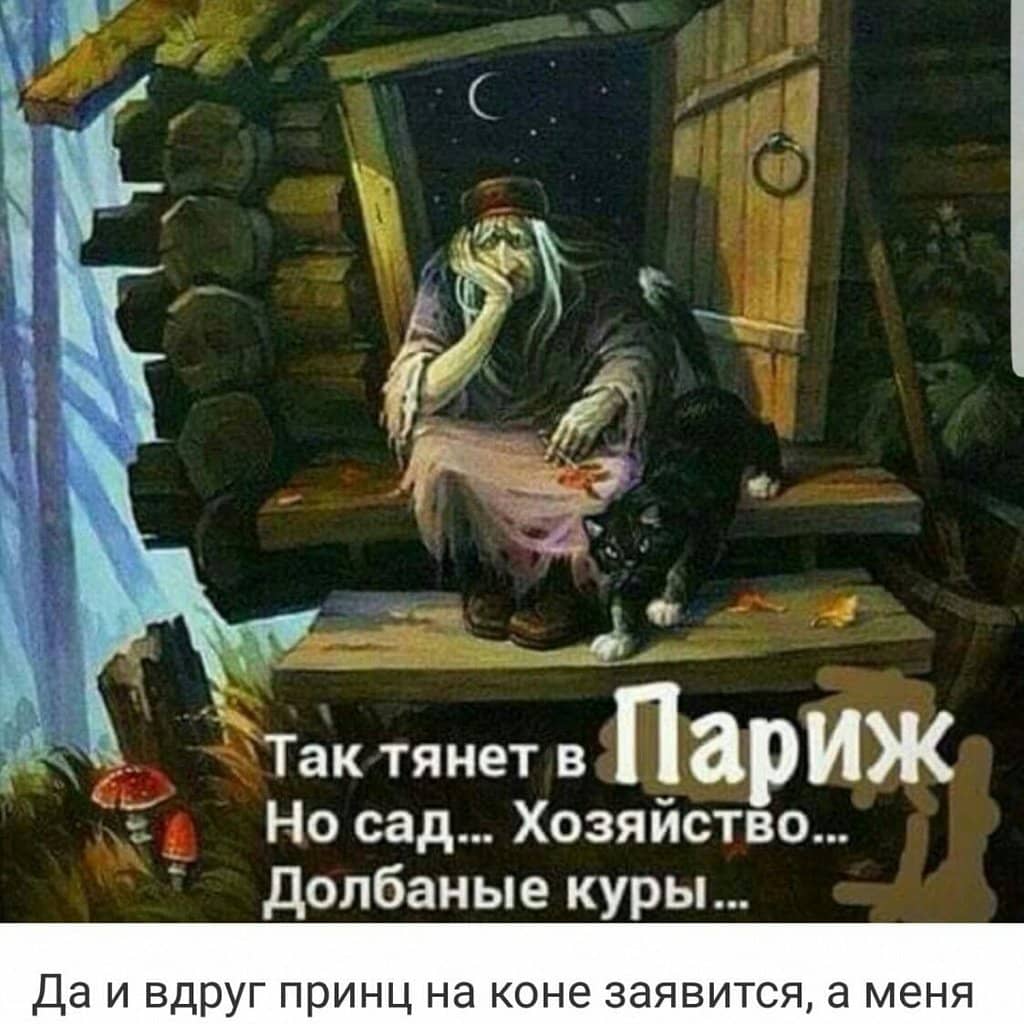 Luxurious Auditorium