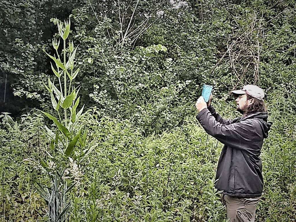 Third hero image