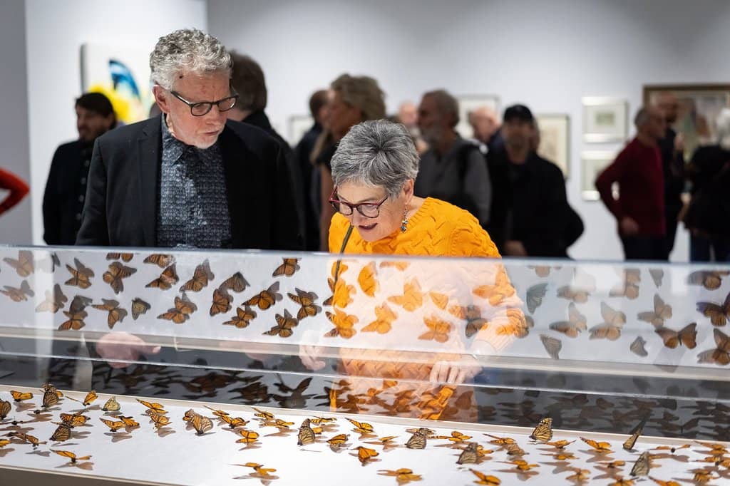 Rotating Contemporary Exhibitions