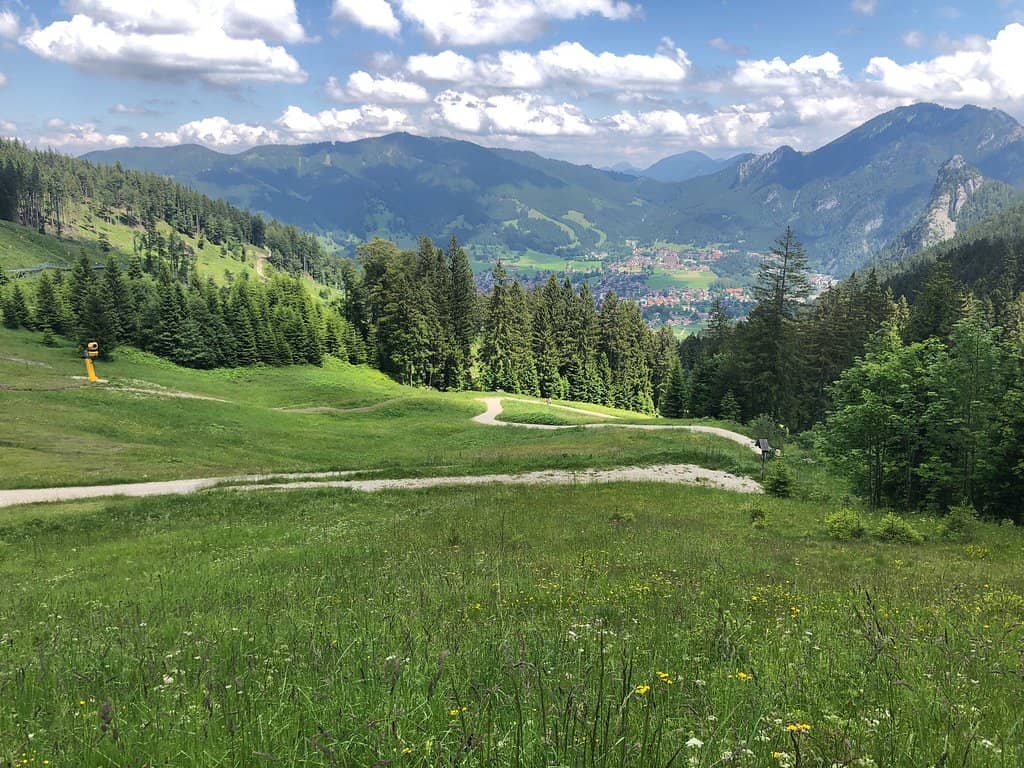 Distinctive Cone Shape