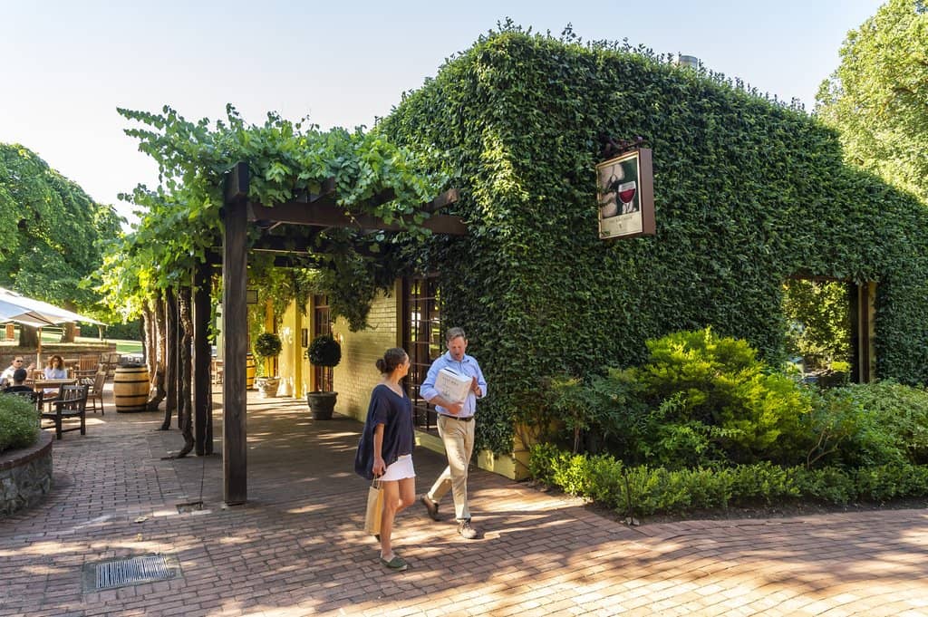 Wine Tastings
