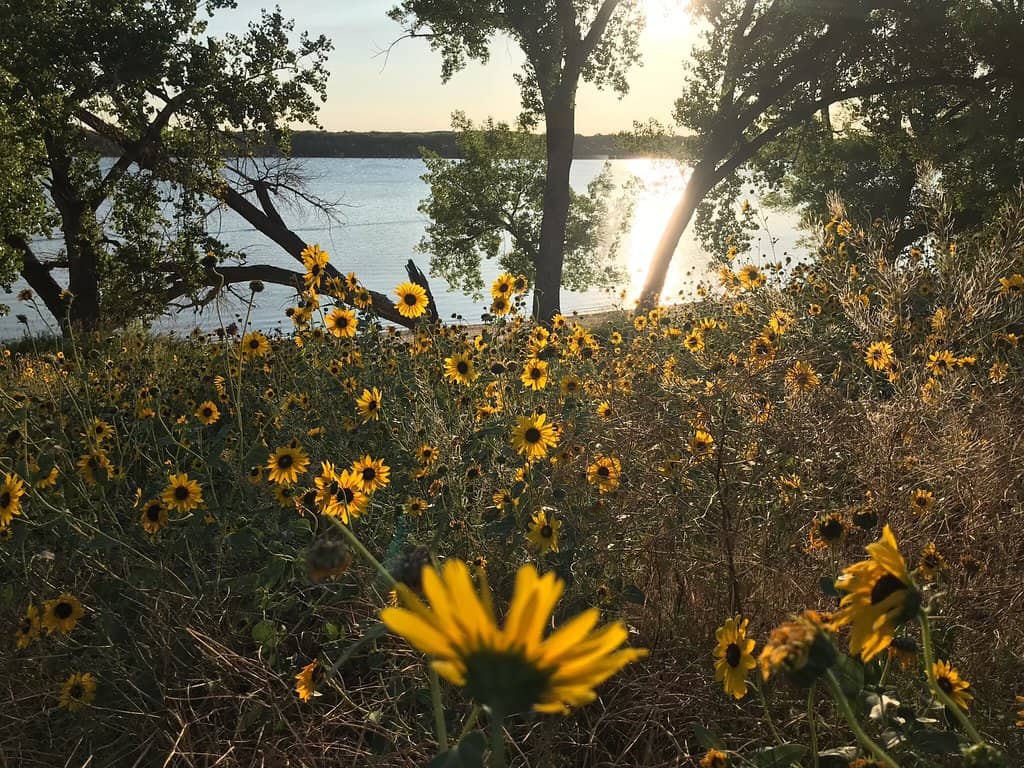 Sunrise Beach