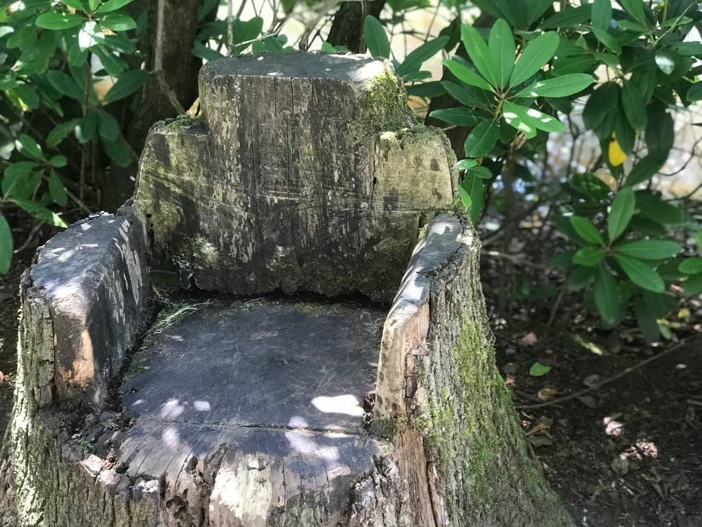 Highbury Hall Grounds