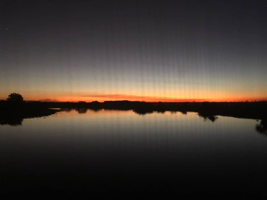 Saltwater Crocodile Spectacle